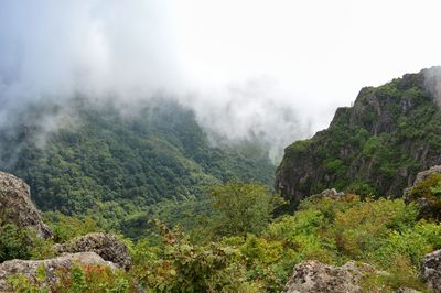 Scenic view of mountains against sky. yoroz tepesi, ordu, turkey