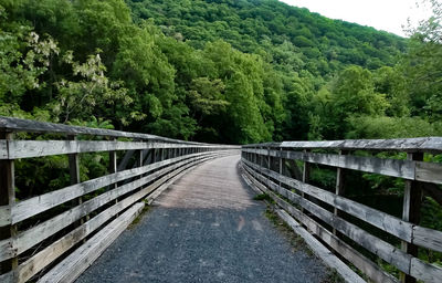 Footbridge amidst trees in forest