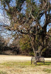 Empty bench in park