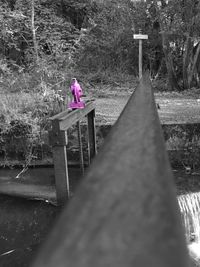 View of pond with trees in background