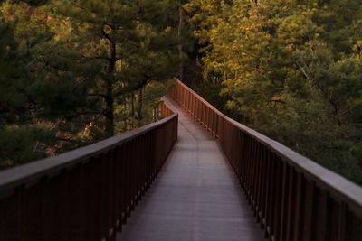 Footbridge amidst trees in forest