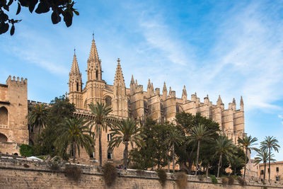 Panoramic view of buildings and palm trees against sky