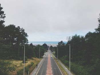 Empty road along trees and plants against sky