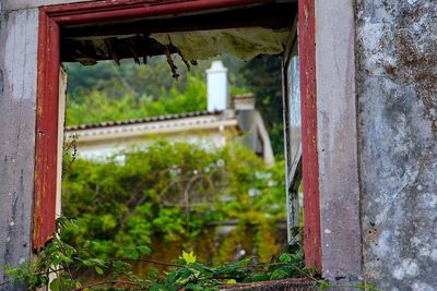 Closed door of house