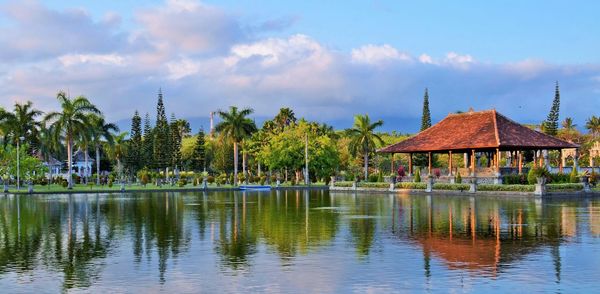 Panoramic view of palm trees by lake against sky