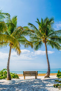 Palm trees on beach