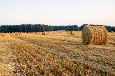 Hay bales on field against clear sky