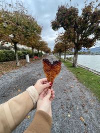 Cropped hand holding plant