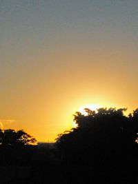 Silhouette trees against sky during sunset