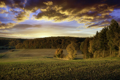 Sonnenuntergang herbstwiese