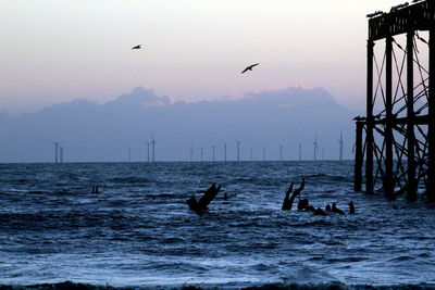 Silhouette birds flying over sea against clear sky