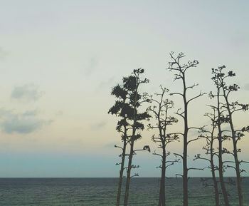 Scenic view of sea against sky at sunset