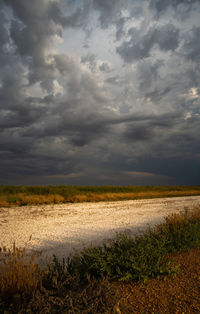 Scenic view of agricultural field against sky