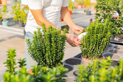 Midsection of man holding potted plant