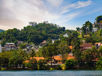 Trees and houses by river against sky