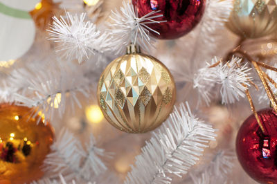 Close-up of christmas tree