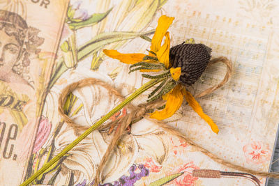 Close-up of insect on yellow flower