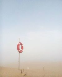 Close-up of red flower