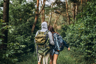 Rear view of people walking in forest