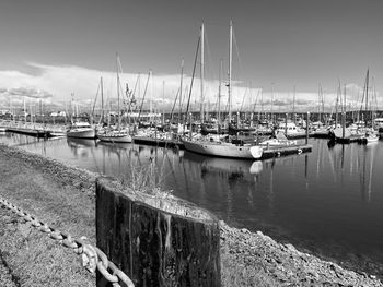 Sailboats moored in harbor