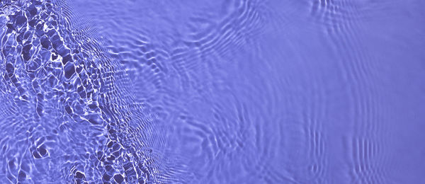 High angle view of swimming in water