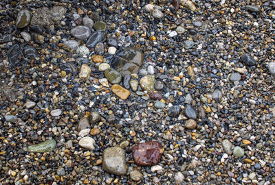 Full frame shot of pebbles on beach