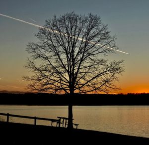 Silhouette bare tree by lake against sky during sunset