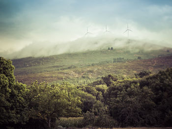 Scenic view of landscape against sky