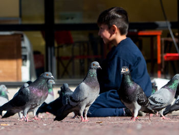 Full length of boy eating birds
