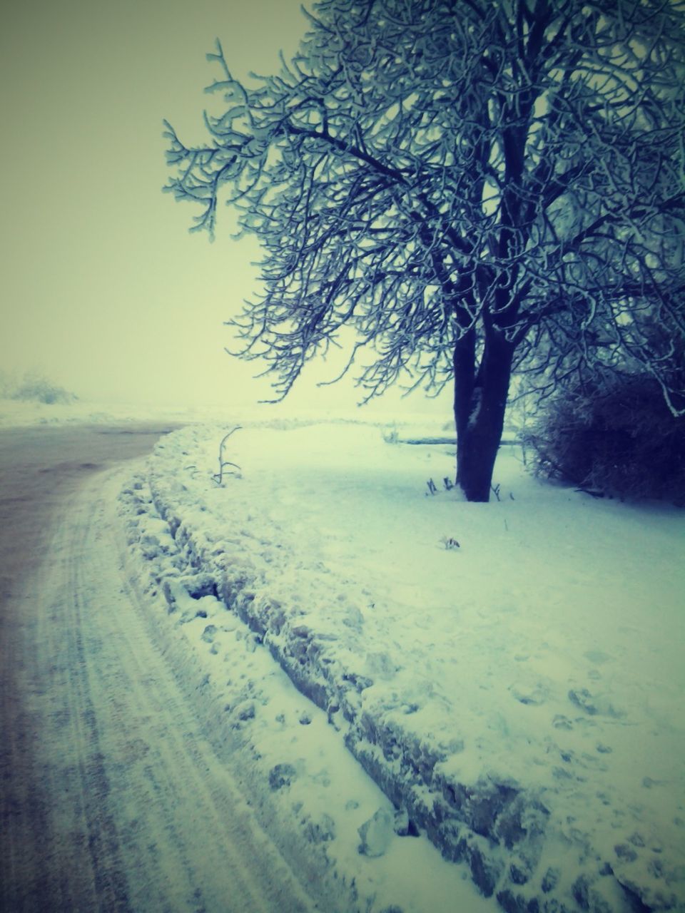 snow, winter, cold temperature, season, weather, tranquil scene, tranquility, tree, landscape, beauty in nature, covering, scenics, nature, bare tree, frozen, non-urban scene, sky, white color, road, snow covered