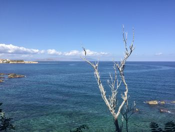 Scenic view of sea against blue sky