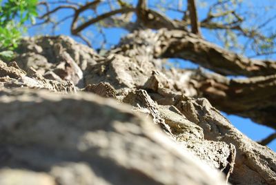 Close-up of rock against sky