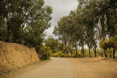 Dirt road amidst trees against sky