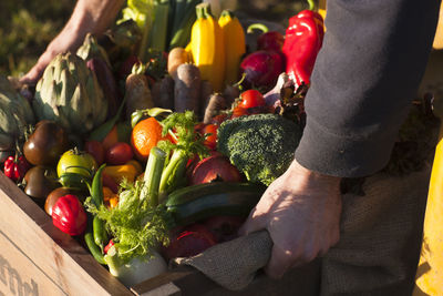 Low angle view of somebody holding a box of vegetables