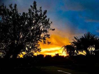 Silhouette trees against dramatic sky during sunset