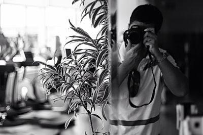 Close-up of plant against white background