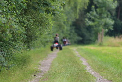 People riding bicycle on road amidst trees