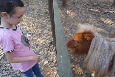 Side view of girl looking at pony through fence