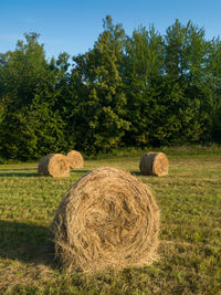 Hay bales on field against trees