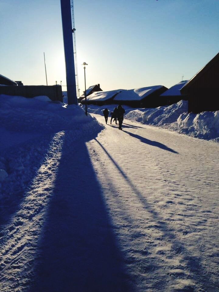 snow, winter, cold temperature, sunlight, outdoors, day, beauty in nature, nature, sky, mountain, no people, animal themes, scenics, mammal