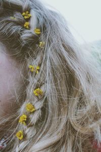 Close-up of flowers