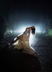 View of a bird on land