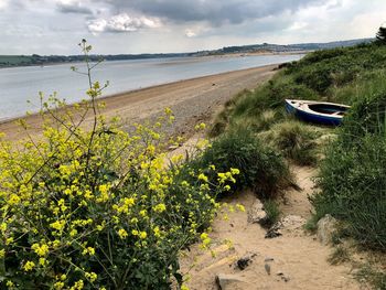 Scenic view of beach against sky