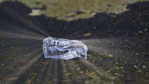 Close-up of ice crystals on sand