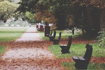 Empty benches in park