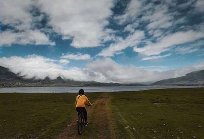 Rear view of man riding bicycle on road