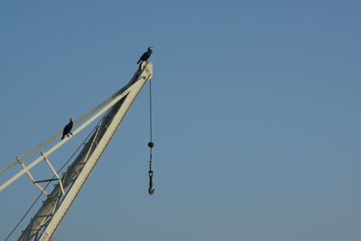 High section of crane against clear sky