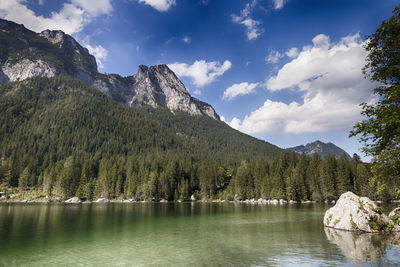 Scenic view of lake by trees against sky