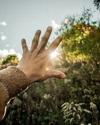 Close-up of hand against trees