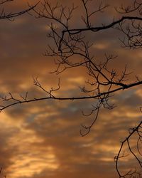 Low angle view of bare trees against cloudy sky